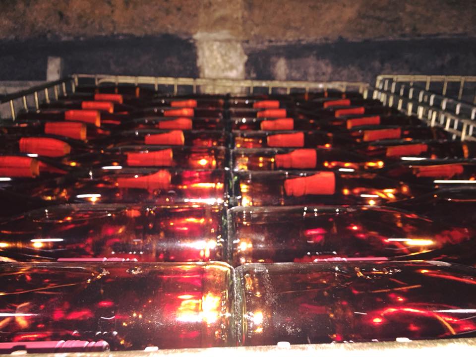 frisch gefüllte Roséflaschen in den Gitterboxen